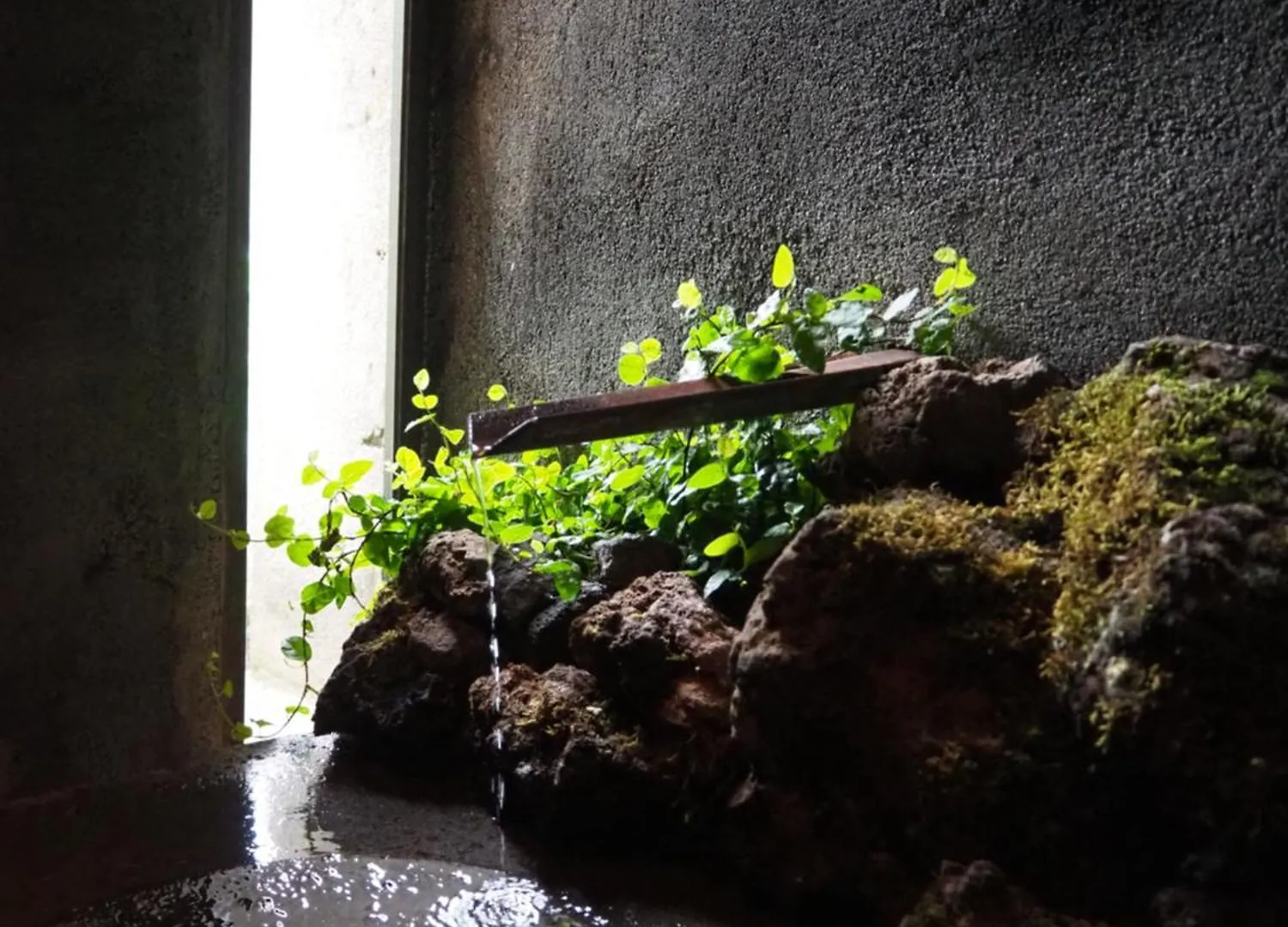 Country house Les Cols Pavellons Guest House Olot Spain